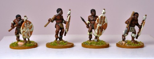Matabele Warriors II (unmarried)