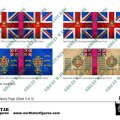 Photo of British 1st Division Infantry Flags (Sheet 3 of 3) (BRC003)