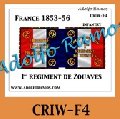 Photo of 1st Zouaves Regimental Flag. (CRIWF4)