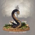 Photo of Temple Snake (DRAC110)