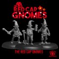 Photo of Red Cap Gnomes 1 (LI-GNOMES1)