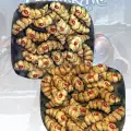 Photo of Gnawgrub Swarms (FGV359)