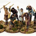 Photo of Carolingian Levy (Javelins)  (SF07)
