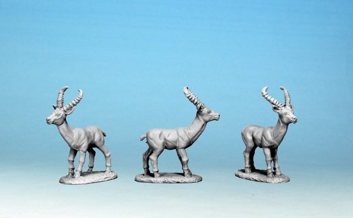 Antelope (x5)