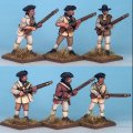 Photo of Colonial Militia (MT0028)