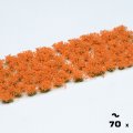 Photo of Orange Flowers (GGF-OR)