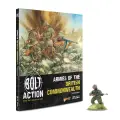 Photo of Armies of the British Commonwealth  (BP-409912601)