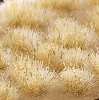 Photo of Gamers Grass Winter Tufts (GG5-W)