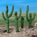 Photo of Saguero Cacti (PMX 10)