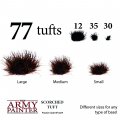 Photo of Scorched Tufts (AP-BF4229)