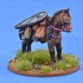 Photo of Pack Pony (Kite Shield) (SSC17)