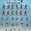 Photo of British Empire Platoon for A War Transformed. (AWT-001)