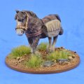 Photo of Pack Pony (Panniers) (SSC18)
