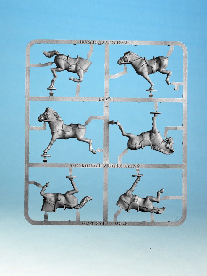 Horses - Single Frame