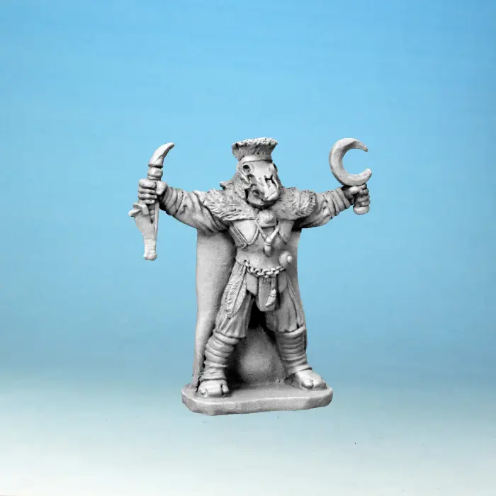 Celtic Druid