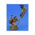 Photo of Irish Warbanner Bearer (SWBB011)