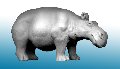 Photo of Hippo (AA13)