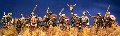 Photo of Steppe Nomads (SFH05)