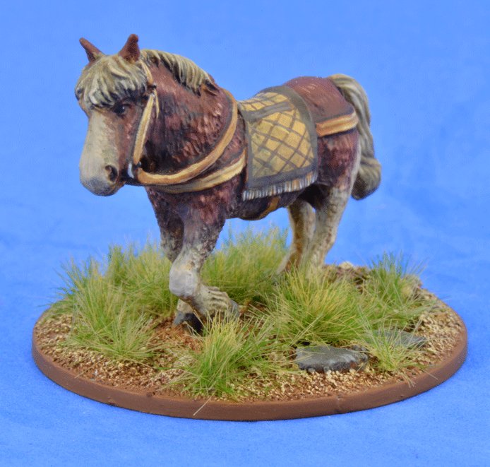 Riding Pony