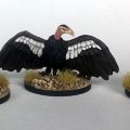 Photo of DMH: A Kettle of Vultures (DMH071)