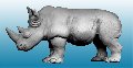 Photo of Rhino (AA18)
