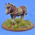 Photo of Riding Pony (SSC20)
