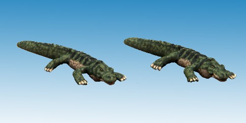 Dwarf Crocodiles