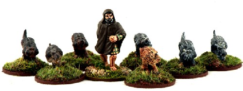 Irish Handler & Dogs 