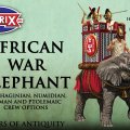 Photo of African War Elephant (VXA029)