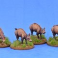Photo of Piggies (SSC21)
