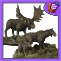 Photo of Moose Family (FAF012)