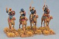 Photo of Mutatawwi'a Fanatics (Hearthguard) on Camels (SMF02)