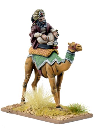 Mutatawwi'a Warlord on Camel
