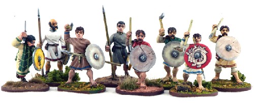 Welsh Priodaur (Warriors) 
