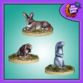 Photo of Giant Bunnies (FAF036)