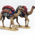 Photo of Baggage Camels (SSC23)
