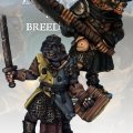 Photo of Gnoll Knight & Templar (FGV219)