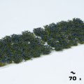 Photo of Blue Flowers (GGF-BL)