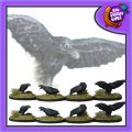 Photo of Ravens (FAF014)