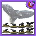 Photo of Ravens (FAF014)
