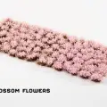 Photo of Cherry Blossom Flowers (GGFS-CB)