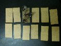 Photo of Bases for Death in the Dark Continent (FB3060-2)