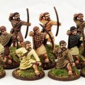 Photo of Welsh Bonnedig (Levy - BOWS) (SW06)