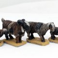 Photo of Goats (SSC24)