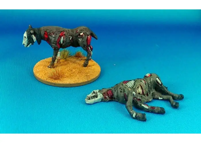 Rotten Horses