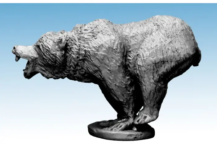 Bear