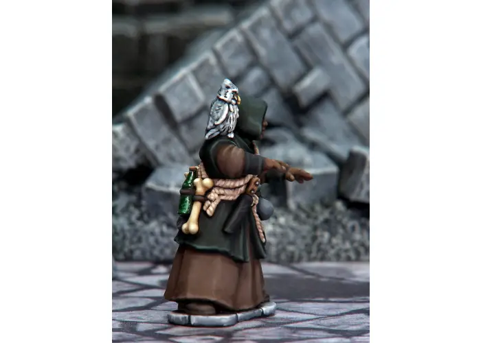 Frostgrave Wizards 