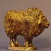 Photo of Musk Ox (MP29)