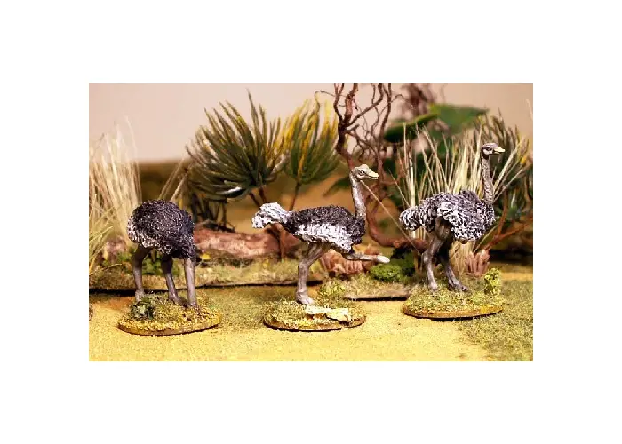 Ostrich