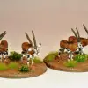 Photo of Oryx (AA03)